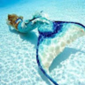 Meet your Posher, Ana